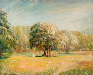 وقت الزهرة ، Epping Forest ، Essex