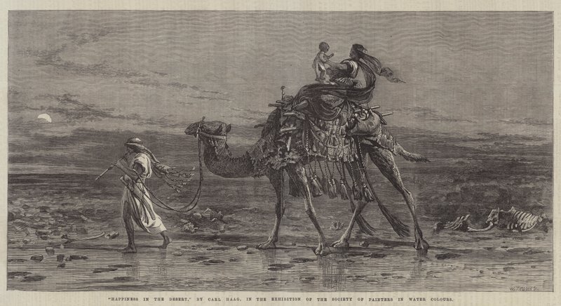 السعادة في الصحراء بواسطة كارل هاج