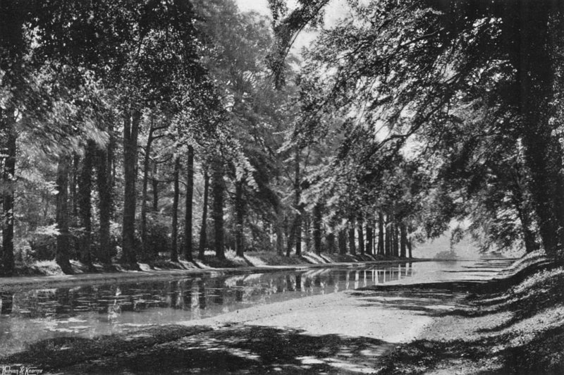 The T Pond (b/w photo) بواسطة تشارلز لاثام