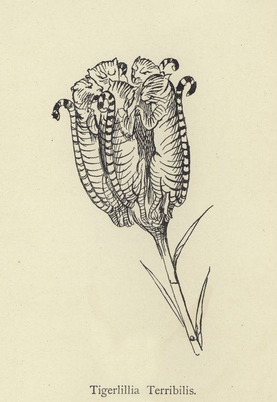 Tigerlillia الرهيب بواسطة إدوارد لير