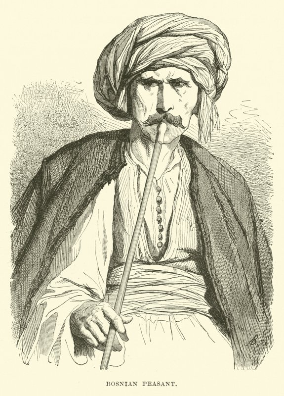 الفلاح البوسني بواسطة مدرسة اللغة الإنجليزية
