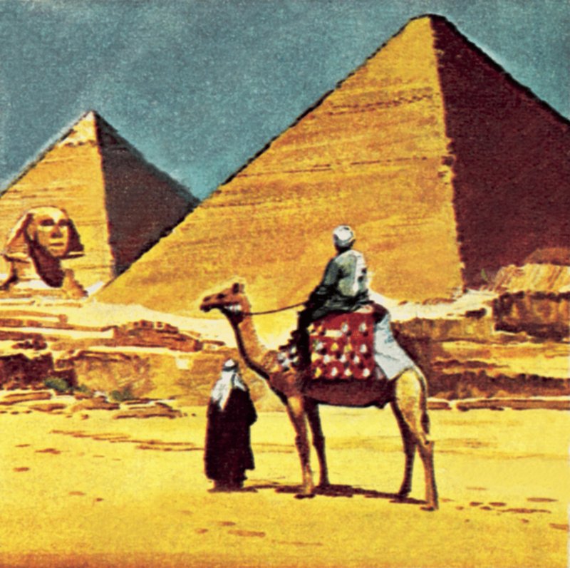 أهرامات مصر بواسطة مدرسة اللغة الإنجليزية