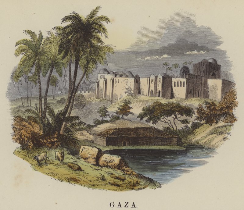 غزة (نقش ملون) بواسطة مدرسة اللغة الإنجليزية