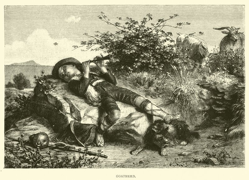 Goatherd بواسطة مدرسة اللغة الإنجليزية