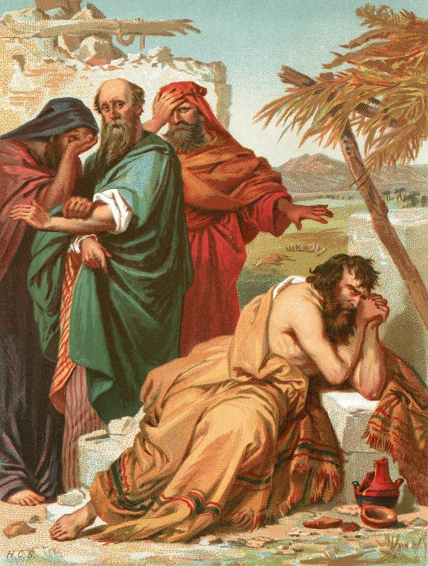 أيوب وأصدقائه بواسطة مدرسة اللغة الإنجليزية