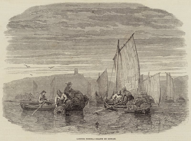 Lobster Fishing (engraving) بواسطة مدرسة اللغة الإنجليزية