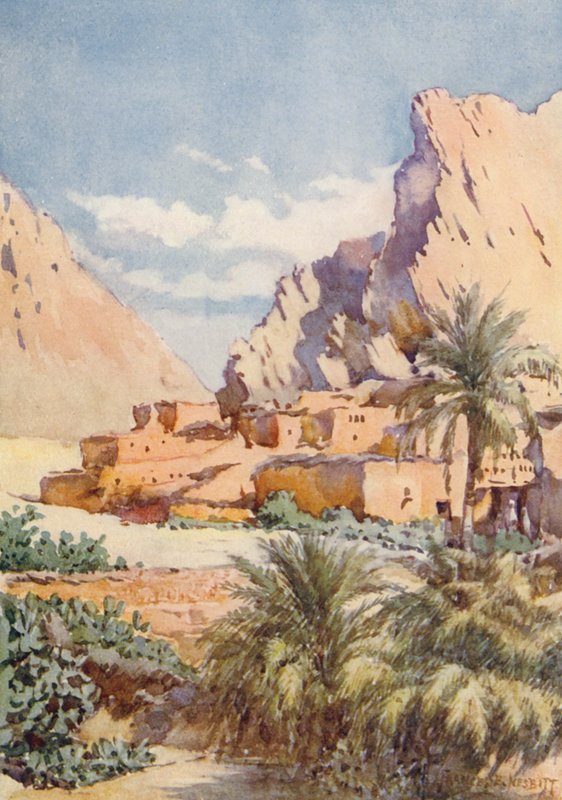  بواسطة فرانسيس نسبيت