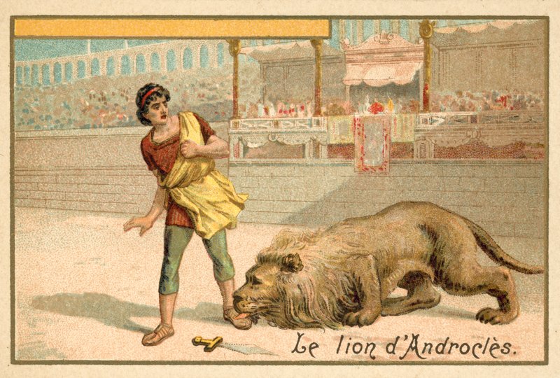 Androcles والأسد بواسطة المدرسة الفرنسية