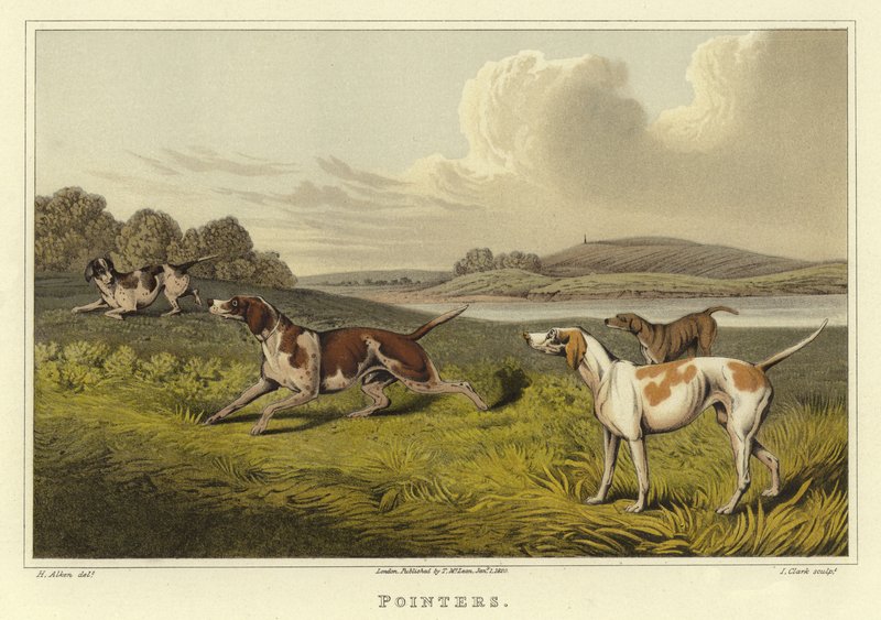 المؤشرات (chromolitho) بواسطة هنري توماس الكين