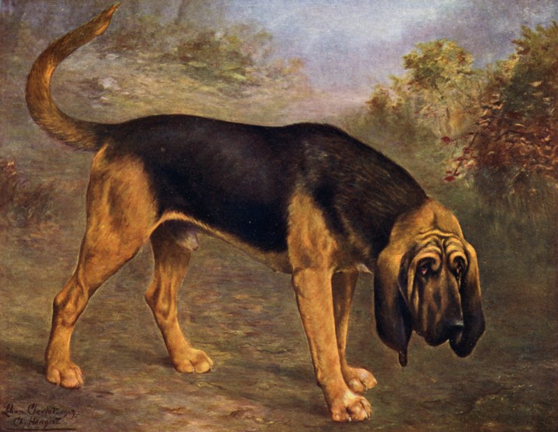 بطل Hengist Bloodhound بواسطة ليليان تشيفيوت